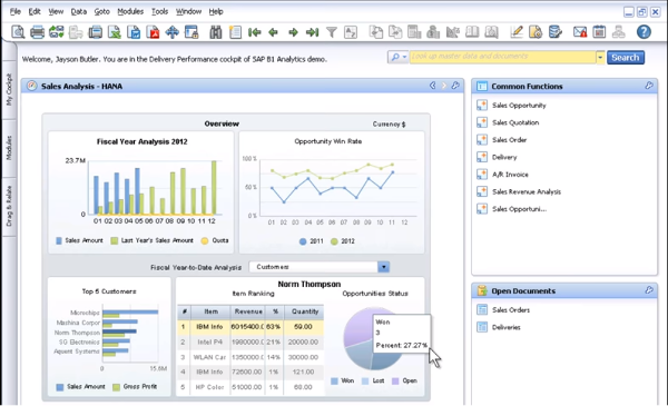 SAP Business One HANA BI Analytics Dashboard