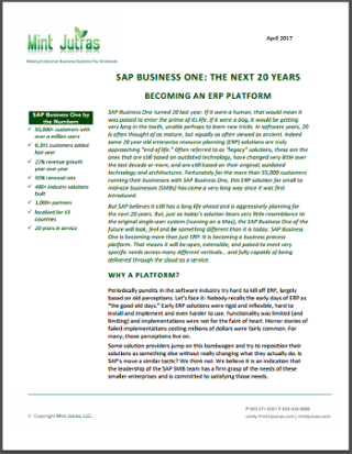 SAP Business One The Next 20 Years.png